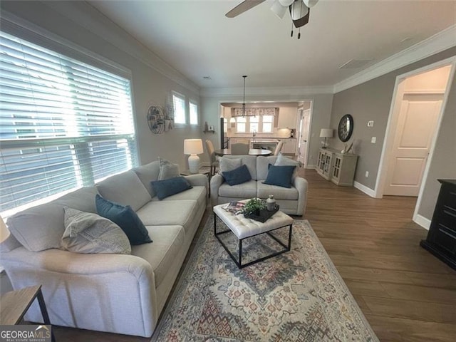 living room featuring ceiling fan, ornamental molding, and wood-type flooring