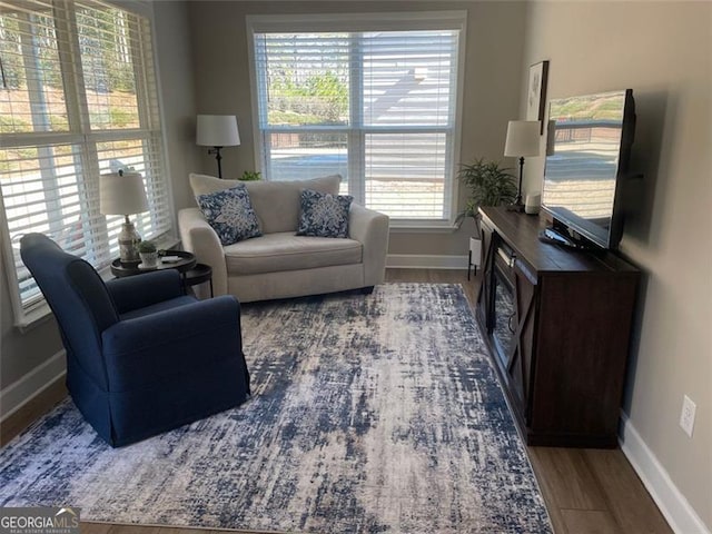 living room featuring dark hardwood / wood-style flooring