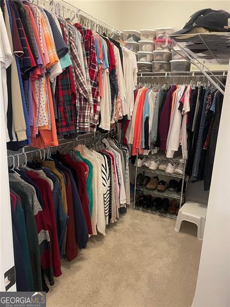 walk in closet featuring light carpet