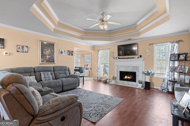 living room with ornamental molding, dark hardwood / wood-style floors, a tray ceiling, ceiling fan, and a high end fireplace