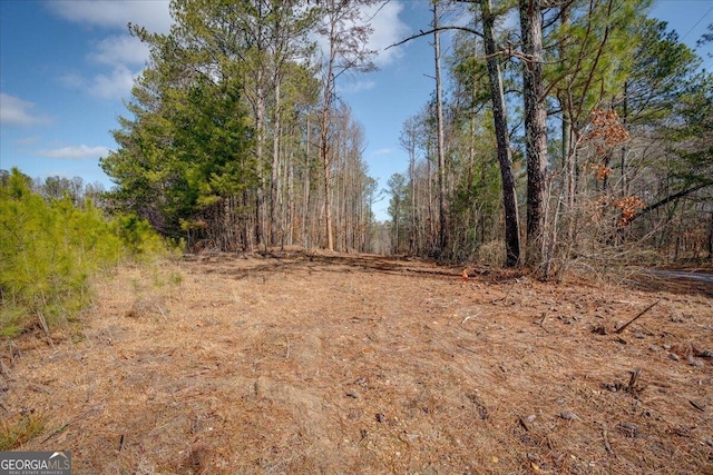 Listing photo 3 for 0 John Kay Rd, Taylorsville GA 30178