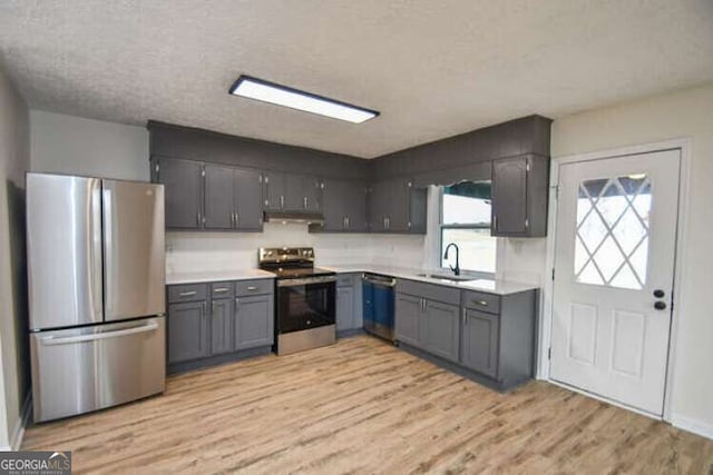 kitchen with sink, gray cabinetry, a textured ceiling, light wood-type flooring, and stainless steel appliances