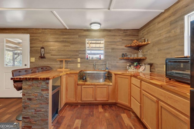 bar featuring a healthy amount of sunlight, sink, wooden counters, and dark hardwood / wood-style floors