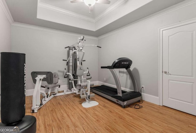 workout room featuring crown molding, ceiling fan, wood-type flooring, and a tray ceiling