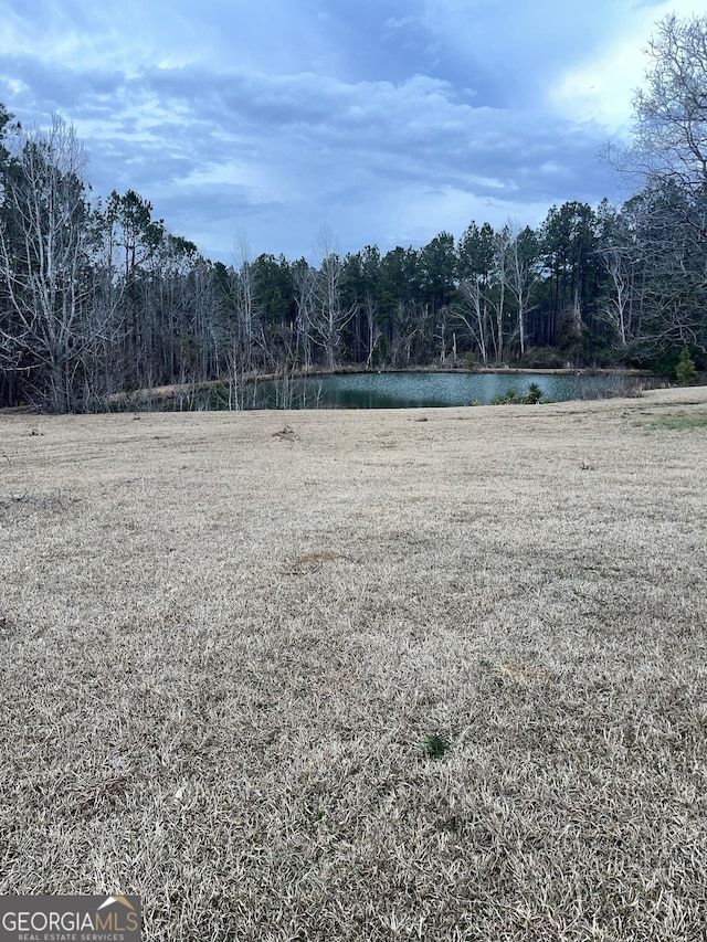 view of yard with a water view and a forest view