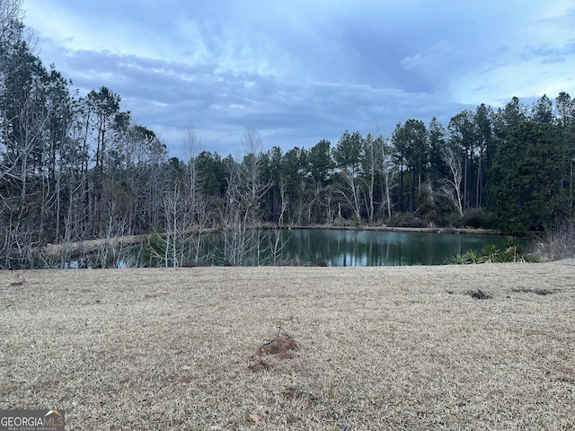 water view featuring a view of trees