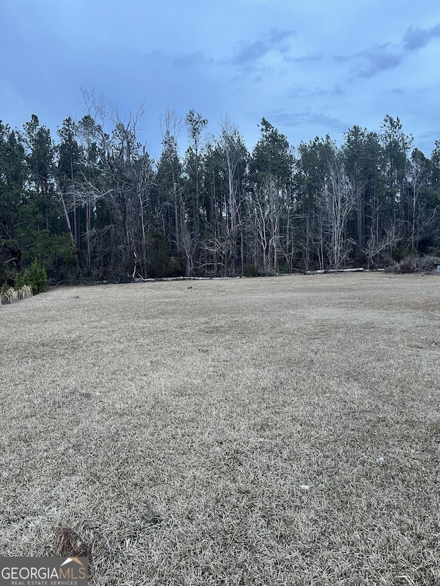 view of local wilderness