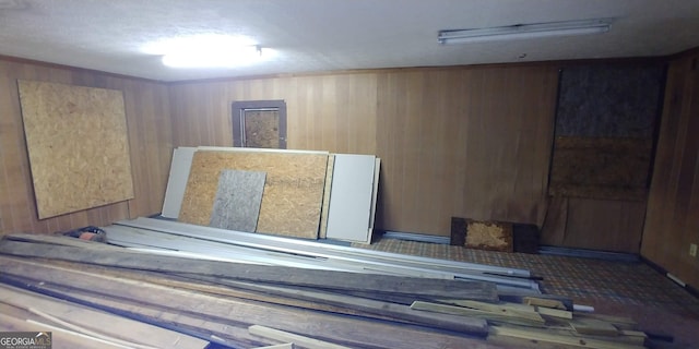 interior space with wooden walls