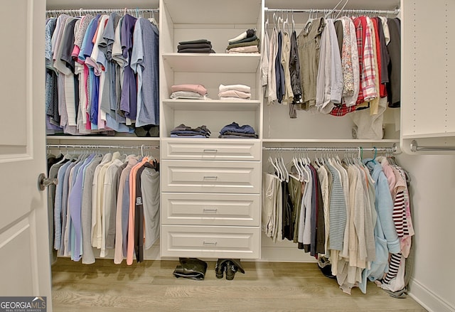 spacious closet with light wood-type flooring