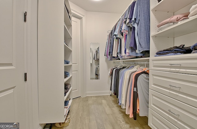 spacious closet featuring light wood-type flooring