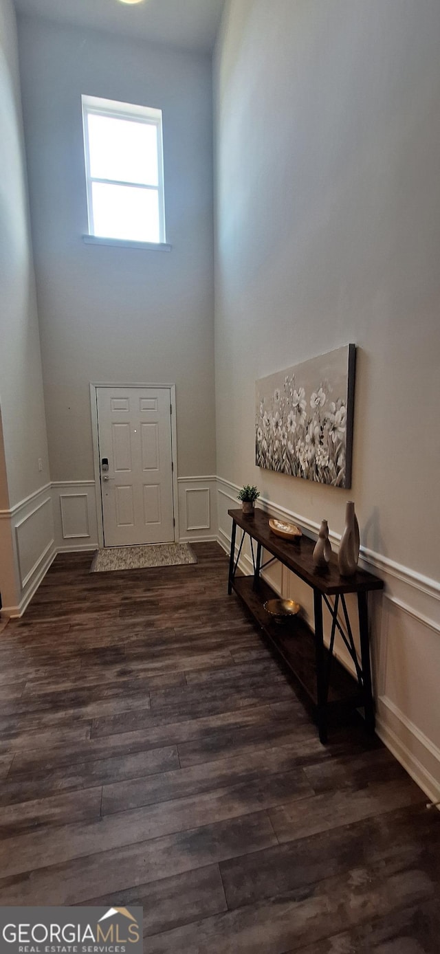 entrance foyer with dark wood-type flooring