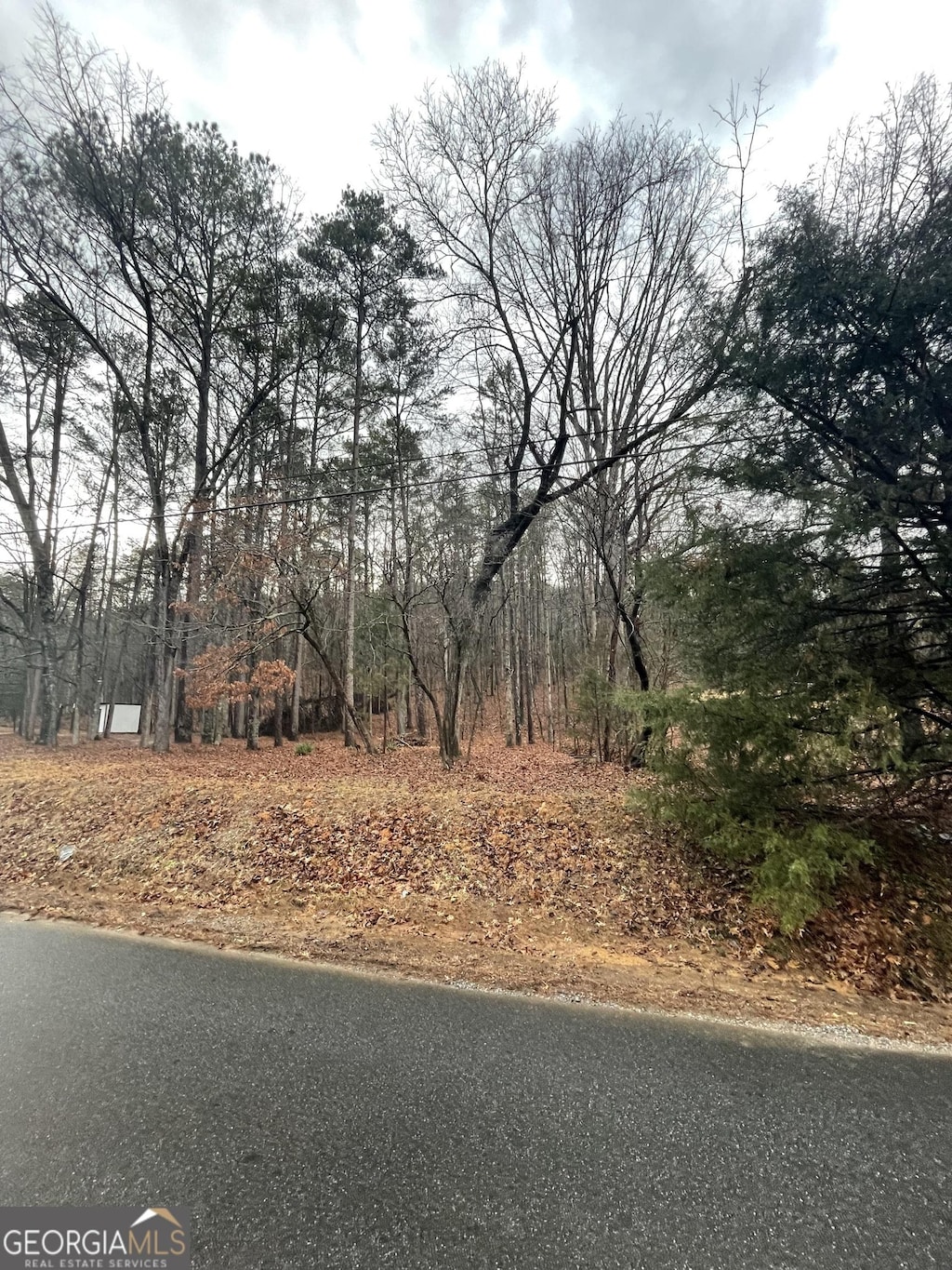 0 Connesena Rd, Kingston, GA 30145