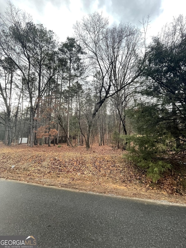 0 Connesena Rd, Kingston, GA 30145