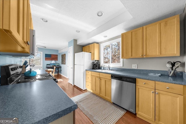 kitchen featuring hardwood / wood-style flooring, appliances with stainless steel finishes, sink, and light brown cabinets