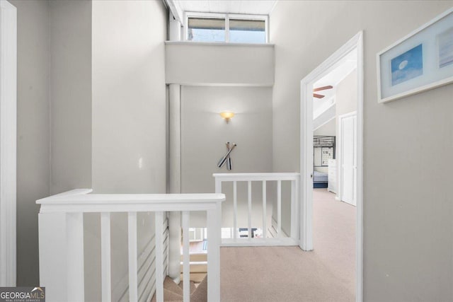 hallway featuring carpet flooring