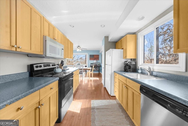 kitchen featuring sink, light hardwood / wood-style floors, ceiling fan, and appliances with stainless steel finishes