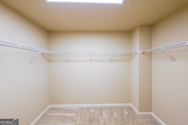 walk in closet with carpet