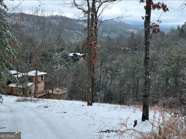 170 Community Hill Dr Unit 54, Blue Ridge, GA 30513 - snowy yard featuring a view of trees and a mountain view