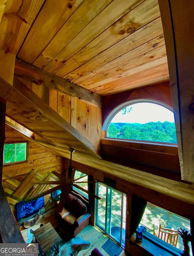170 Community Hill Dr Unit 54, Blue Ridge, GA 30513 - detailed view of wooden ceiling, wooden walls, and ceiling fan