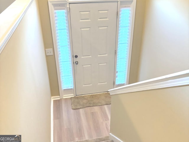 entrance foyer with wood-type flooring