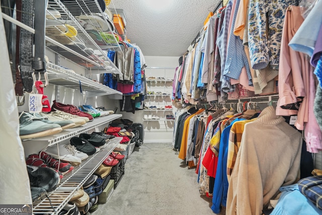 spacious closet with light carpet