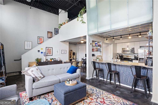 living room featuring a high ceiling and track lighting