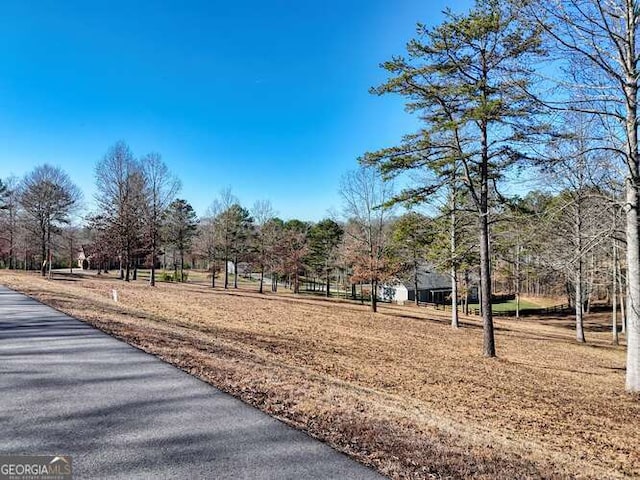 LOT75 Owen Gln, Blairsville GA, 30512 land for sale