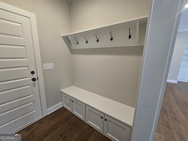 mudroom featuring dark wood-type flooring