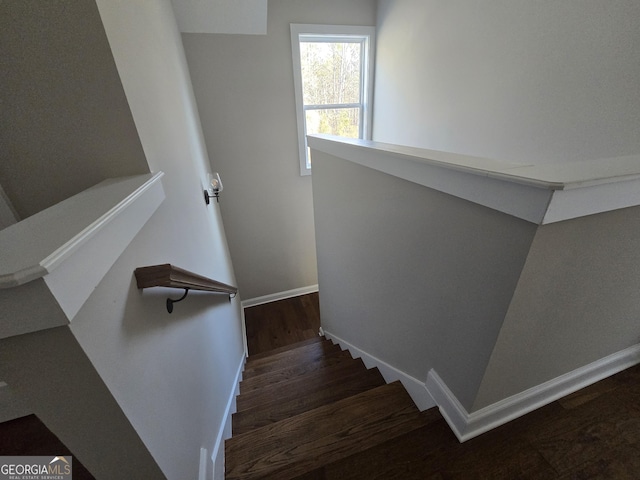 stairway featuring wood-type flooring