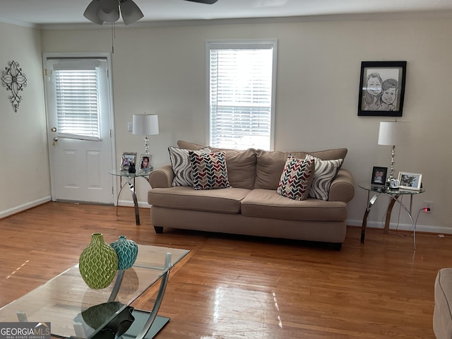 living room with hardwood / wood-style flooring, crown molding, and ceiling fan