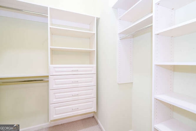 view of walk in closet