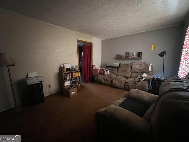 carpeted living room with a textured ceiling