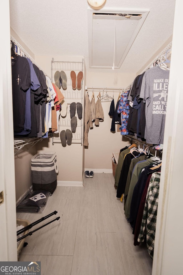 view of spacious closet