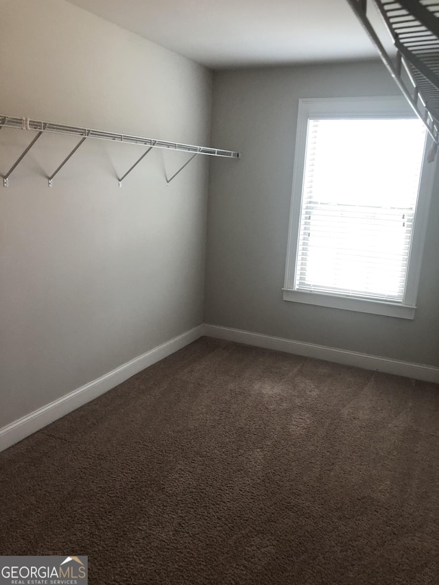 284 Madison Grace Ave, Mcdonough, GA 30252 - spacious closet with carpet flooring
