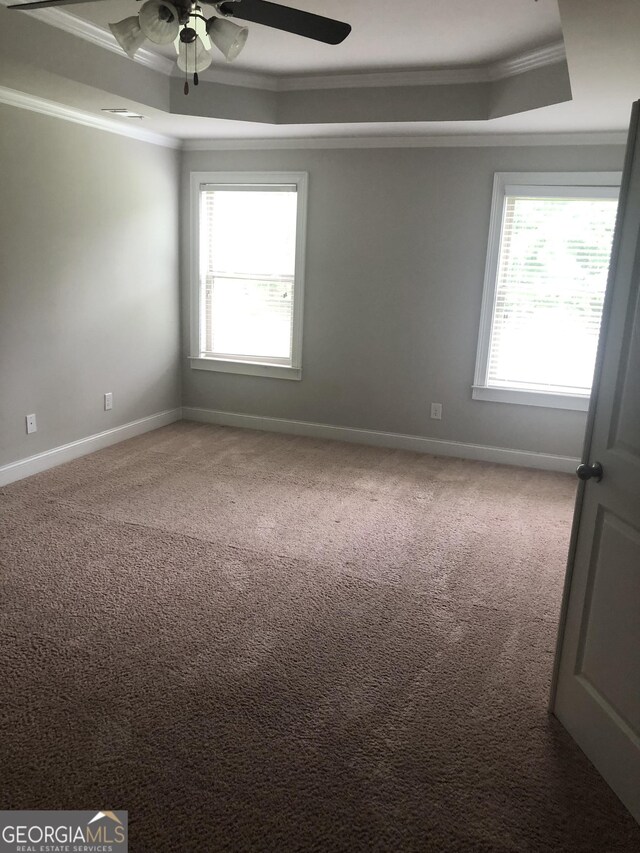 284 Madison Grace Ave, Mcdonough, GA 30252 - spare room featuring a raised ceiling, ornamental molding, a ceiling fan, and baseboards
