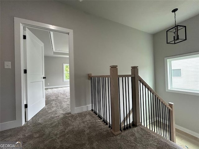 stairs featuring carpet floors