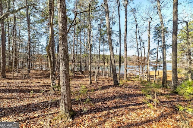 view of local wilderness with a water view