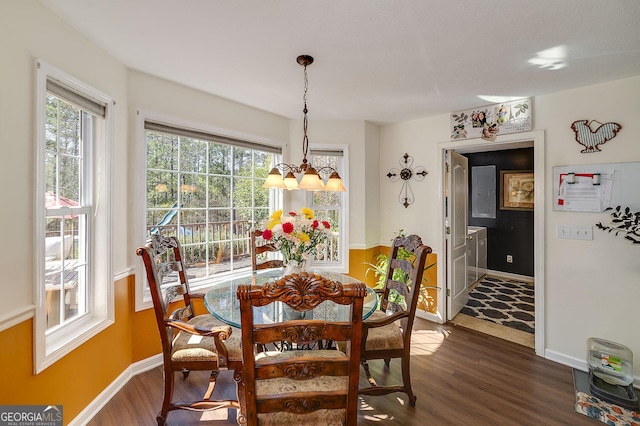 dining room featuring an inviting chandelier and dark wood-type flooring