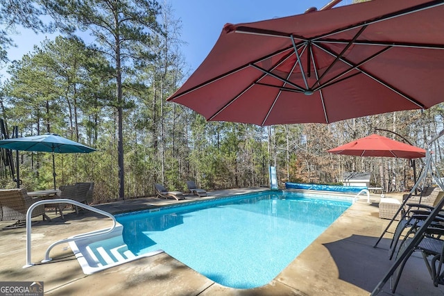 view of pool with a patio