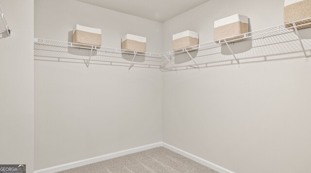 321 Sound Cir, Stockbridge, GA 30281 - spacious closet with carpet