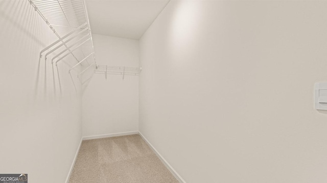 321 Sound Cir, Stockbridge, GA 30281 - walk in closet featuring light carpet