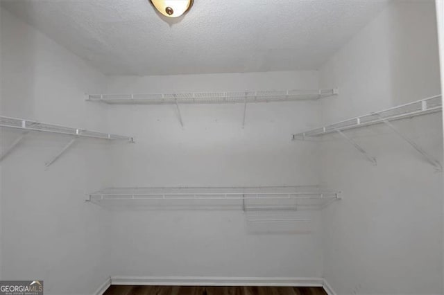 walk in closet with dark wood-type flooring