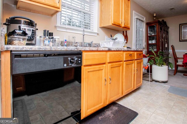 kitchen featuring dishwasher and sink