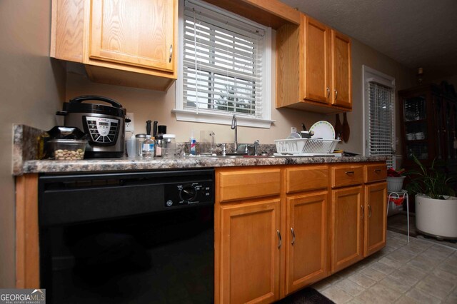 kitchen featuring sink and dishwasher