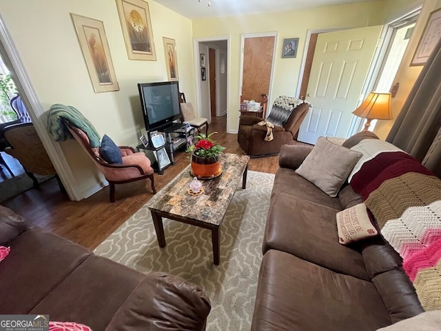 living room with wood-type flooring