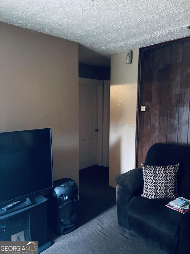 living room featuring carpet floors and a textured ceiling