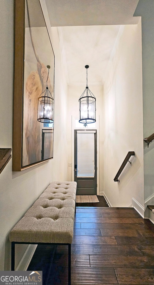 foyer entrance featuring dark hardwood / wood-style flooring