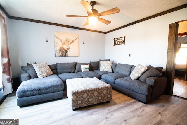 living room with a textured ceiling, light hardwood / wood-style flooring, ornamental molding, and ceiling fan