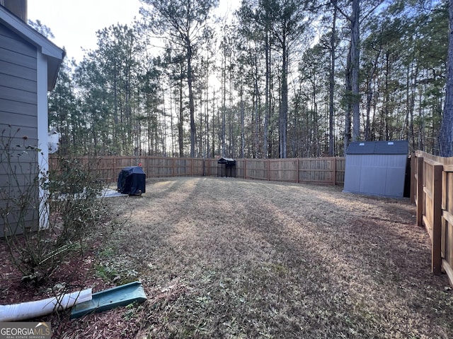 view of yard with a shed