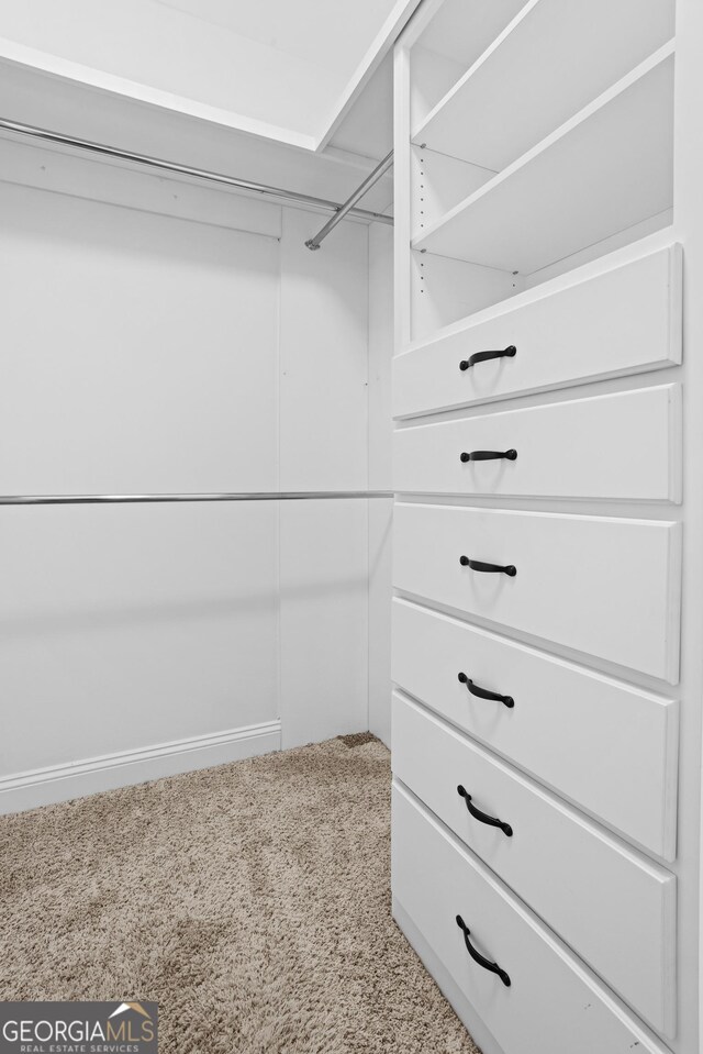 walk in closet with carpet floors